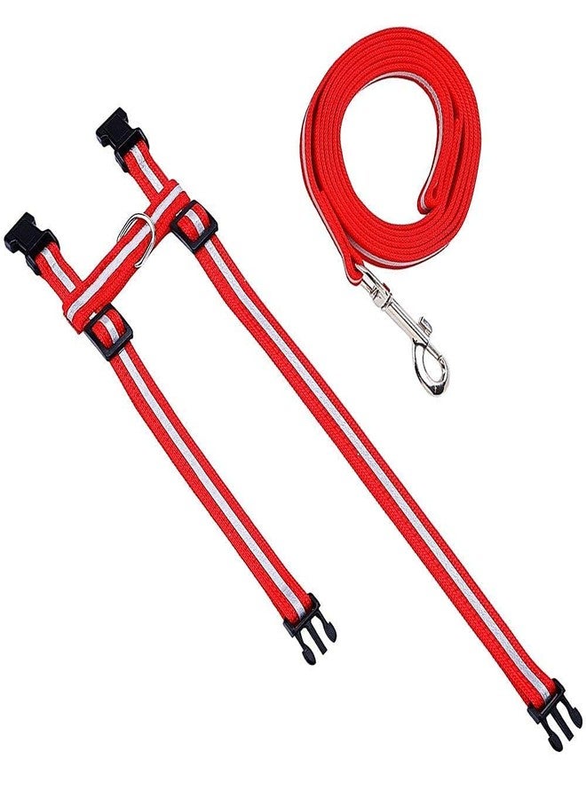 Pups&Pets طوق قطط عاكس قابل للتعديل من Pups&Pets مع حزام نايلون وحبل - لون أحمر - Image 3